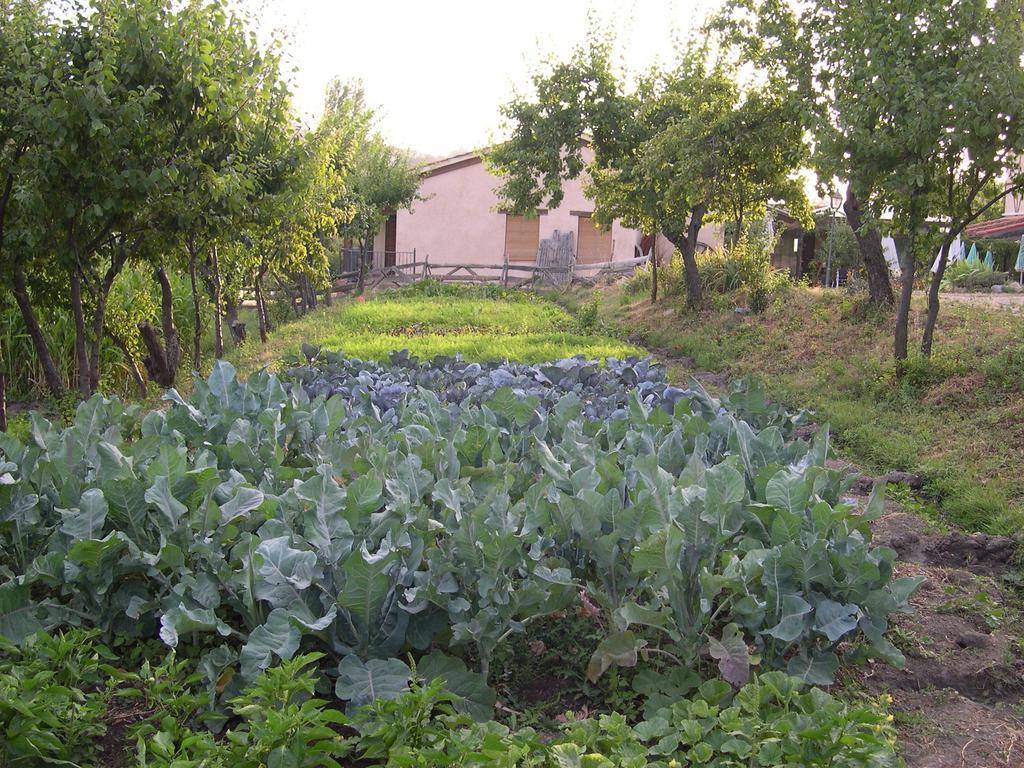 فندق شقوبيةفي  La Huerta De San Lorenzo المظهر الخارجي الصورة